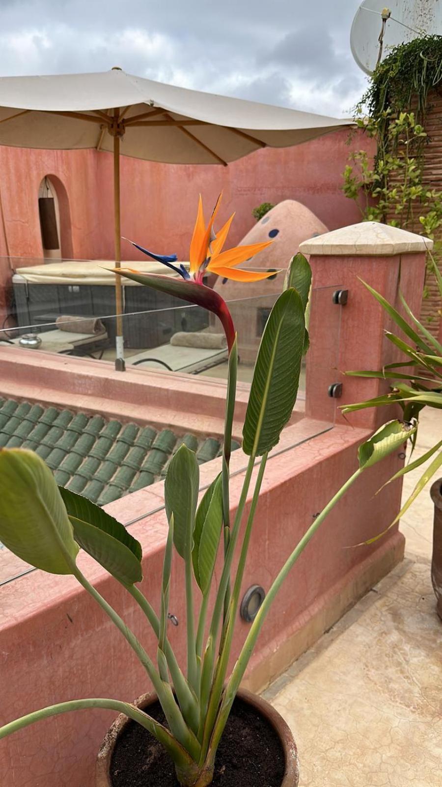 Riad Dar Ten Marrakesz Zewnętrze zdjęcie